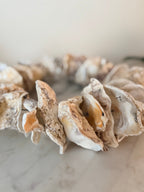 Clam Shells Garland Wall Hanging