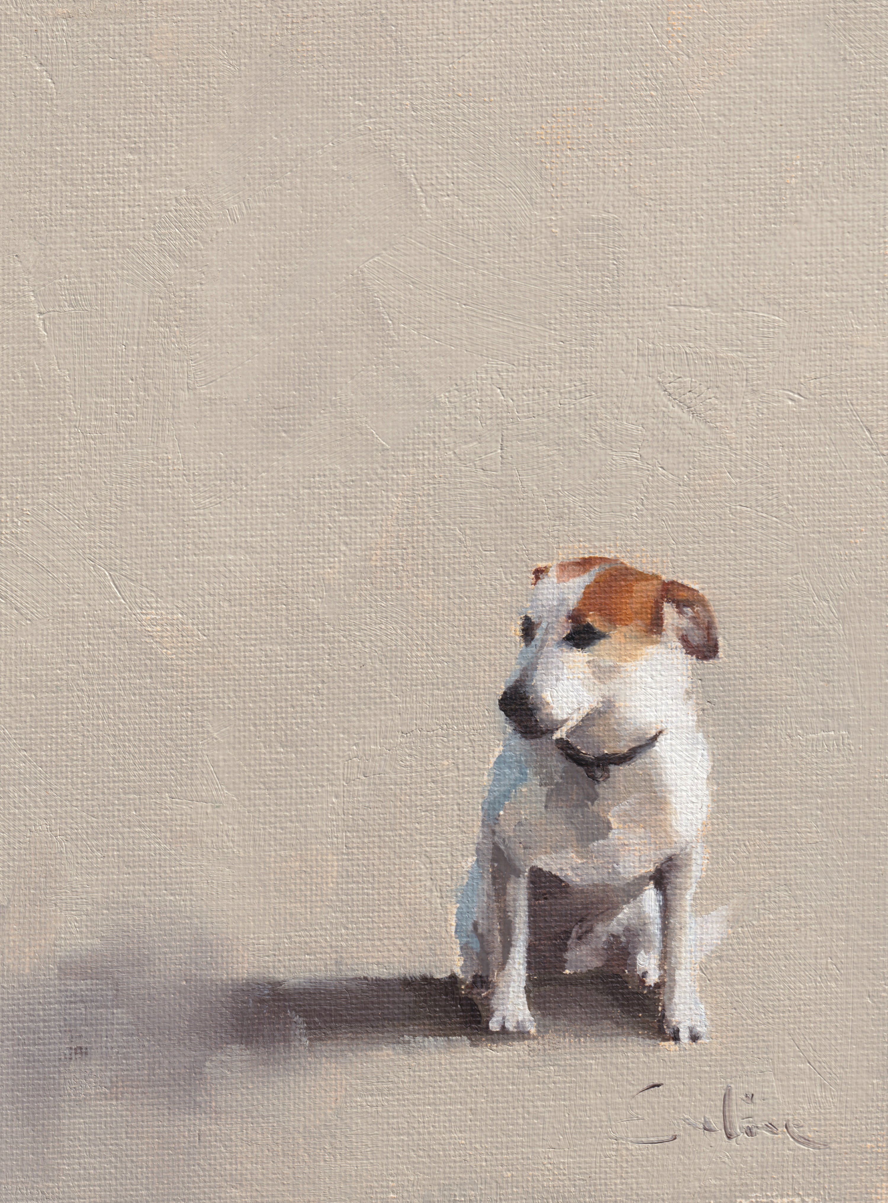 Pack of 4 Doggie Cards