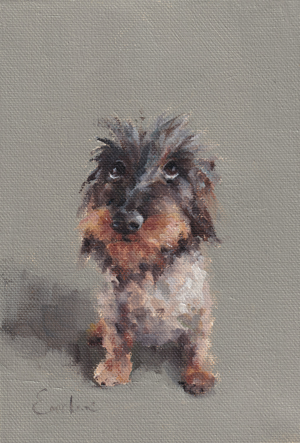 Pack of 4 Doggie Cards