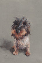 Pack of 4 Doggie Cards