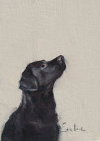 Pack of 4 Doggie Cards