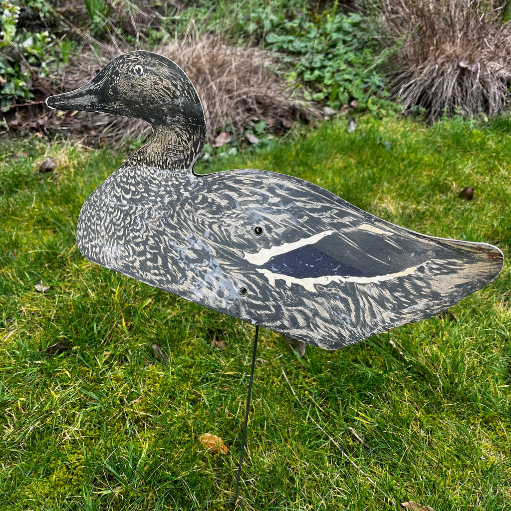 Decoy Mallard Ducks