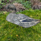 Decoy Mallard Ducks