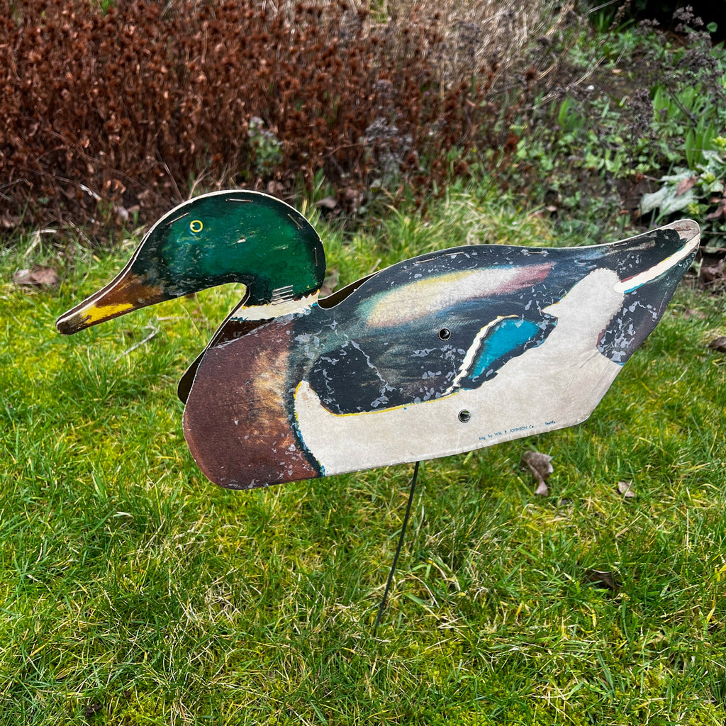 Decoy Mallard Ducks