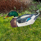 Decoy Mallard Ducks