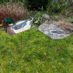 Decoy Mallard Ducks