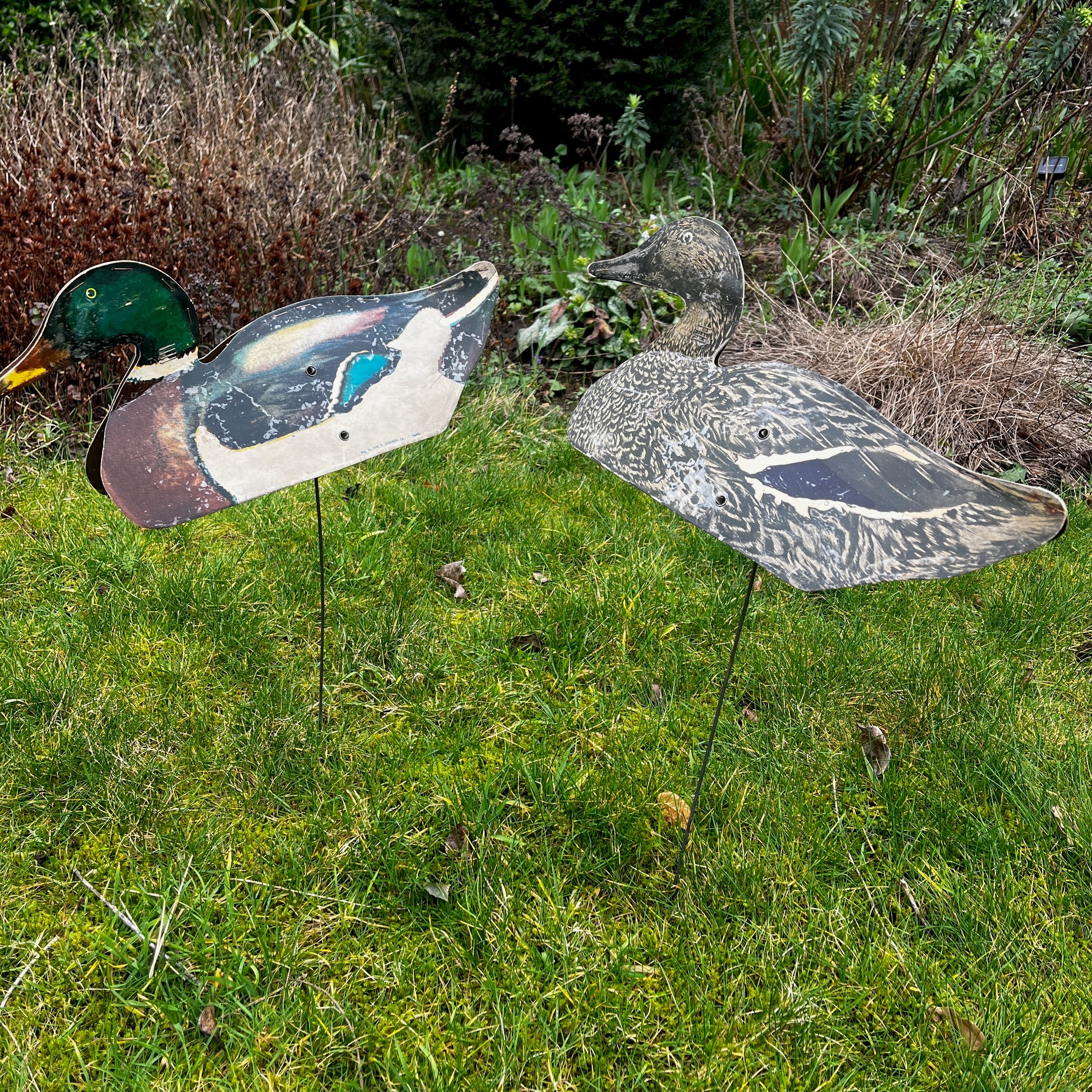Decoy Mallard Ducks