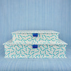 Dragonfly Box File