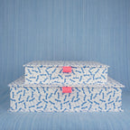 Dragonfly Box File