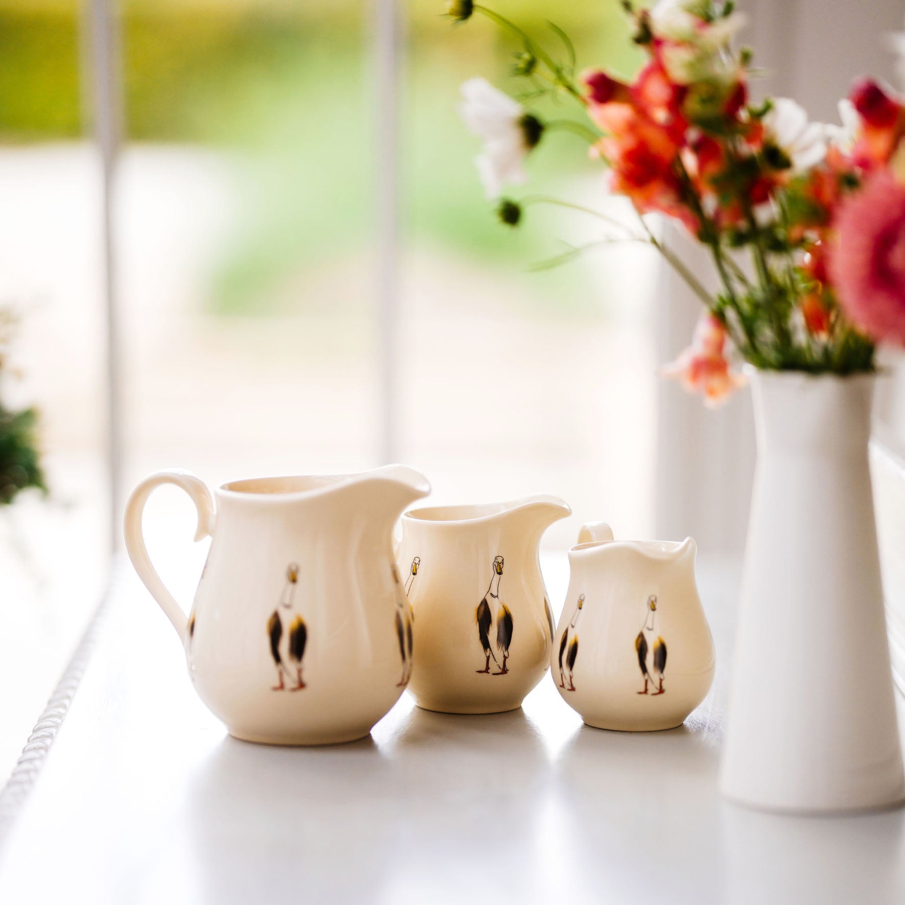 Runner Duck Jugs