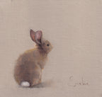 Pack of 4 Bunny Cards