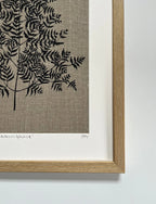 Anthriscus Sylvestris Study B Linen Botanical