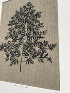 Anthriscus Sylvestris Study B Linen Botanical