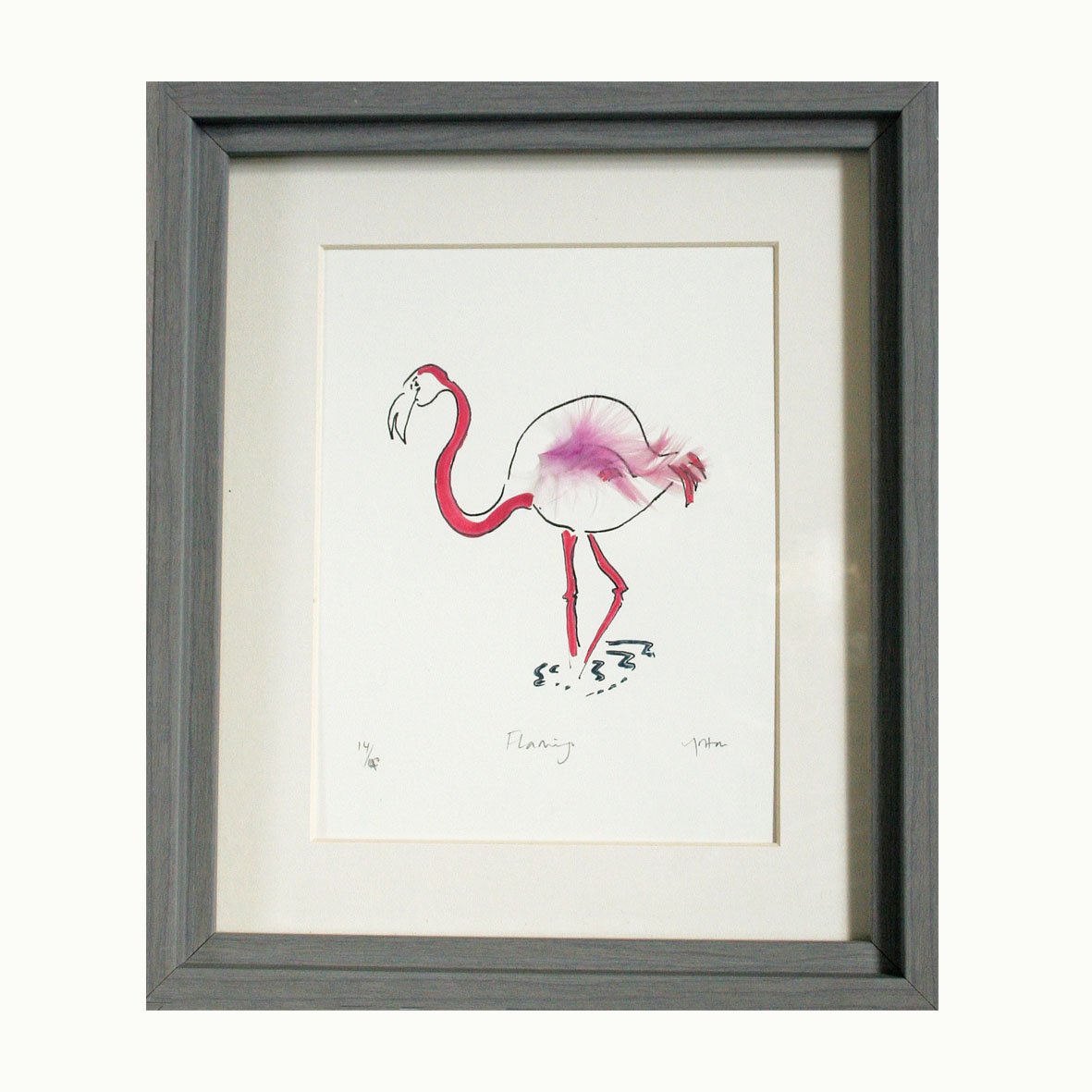 Flamingo Solo Print
