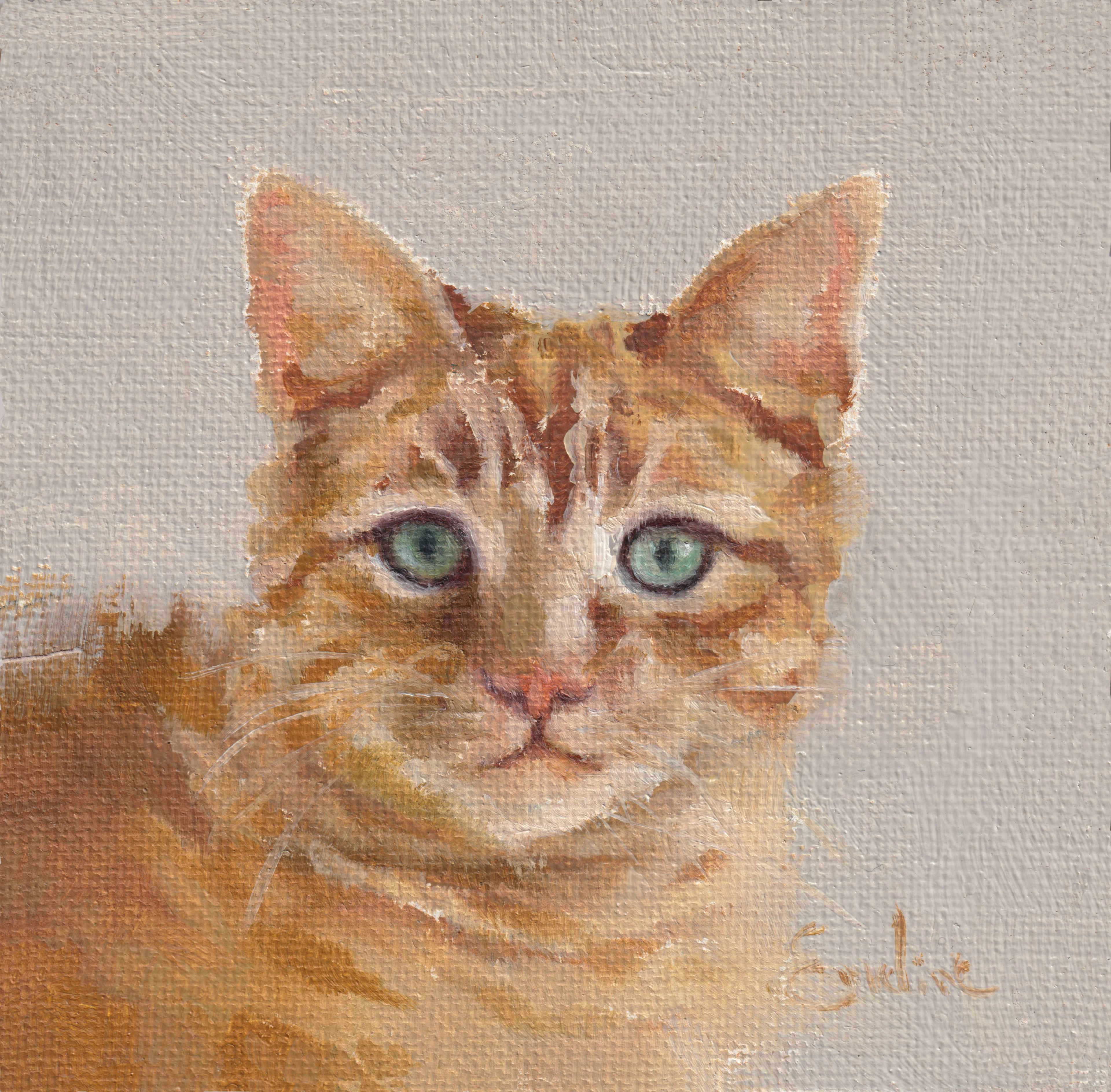 Pack of 3 Cat Cards