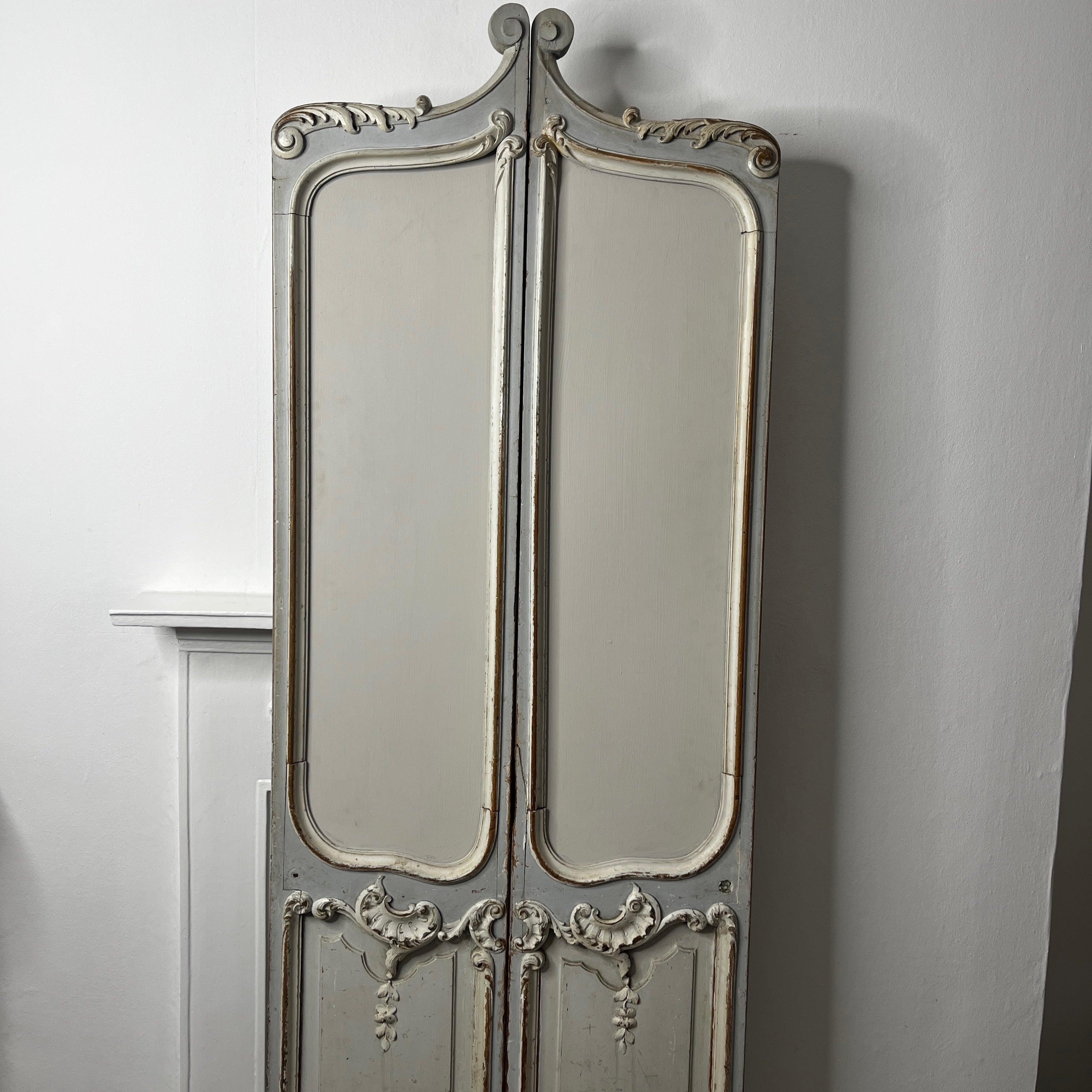 Decorative Vintage French Louis XV Doors / Screen