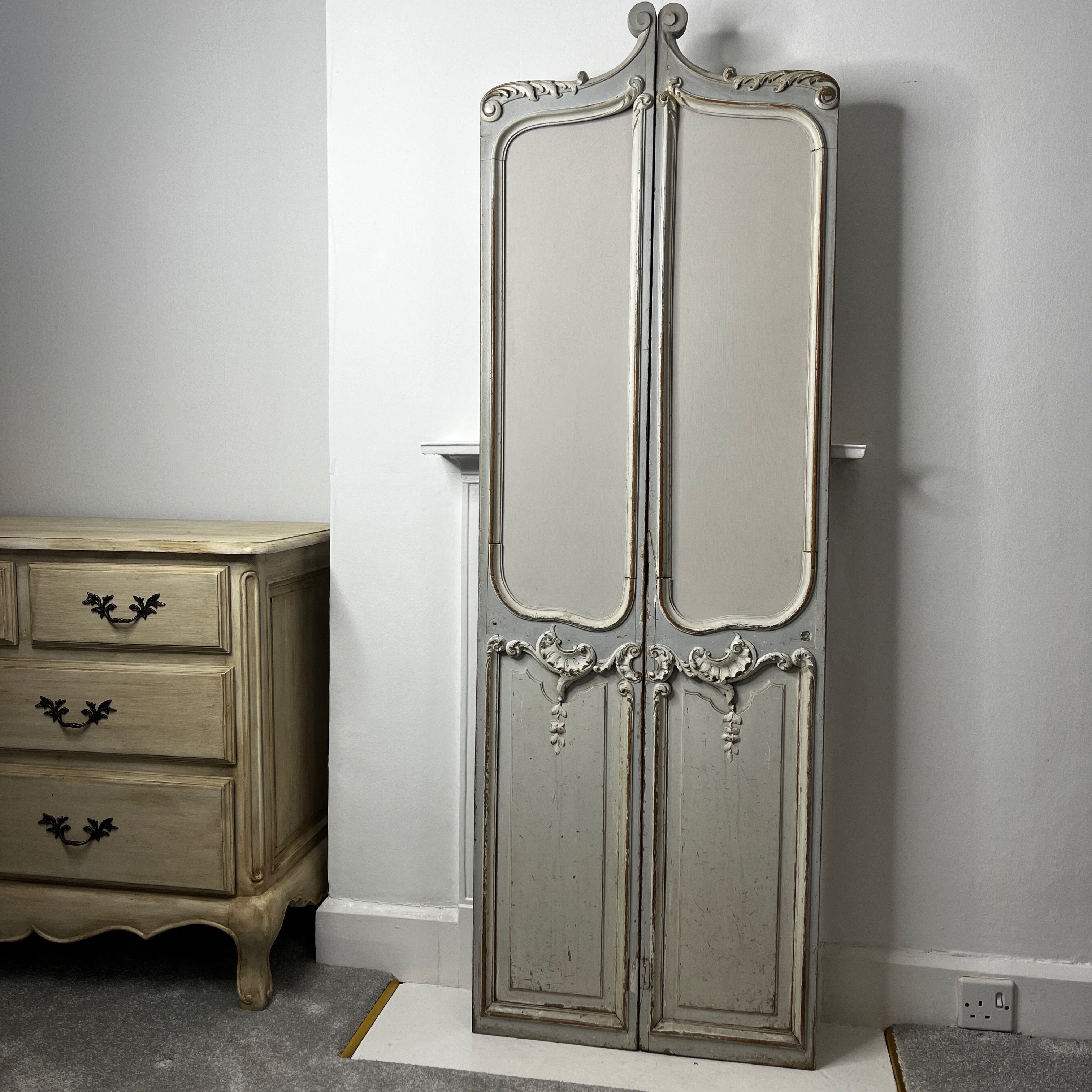 Decorative Vintage French Louis XV Doors / Screen