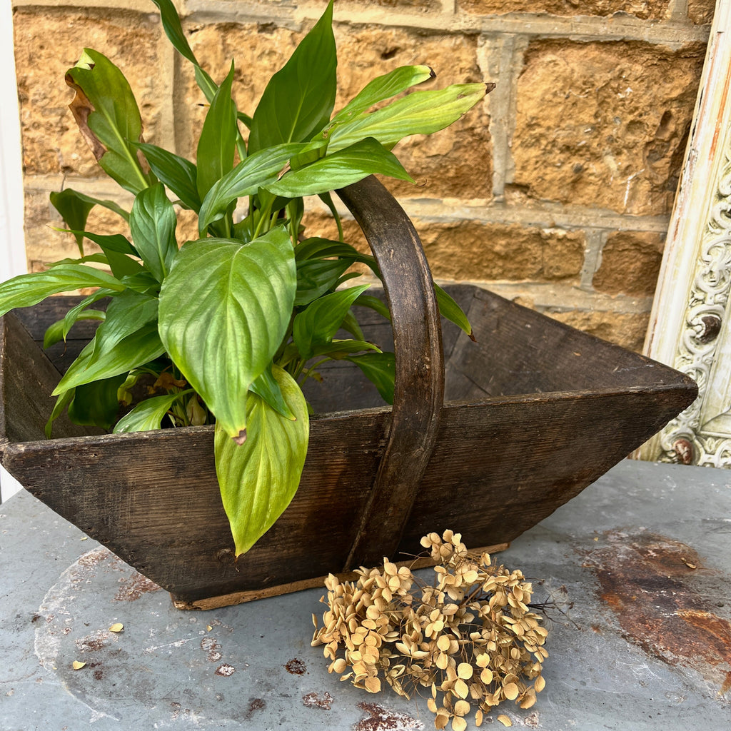 French Vintage Trugs