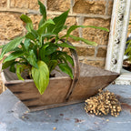 French Vintage Trugs