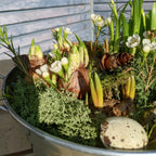 Spring Bulbs Planter incl Quail Eggs & White Wax Flowers | 18cm or 24cm