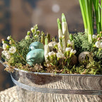 Spring Bulbs Planter incl Quail Eggs & White Wax Flowers | 18cm or 24cm