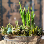 Spring Bulbs Planter incl Quail Eggs & White Wax Flowers | 18cm or 24cm