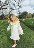 Smocked Sahana Nightie