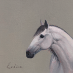 Pack of 4 Horse Cards