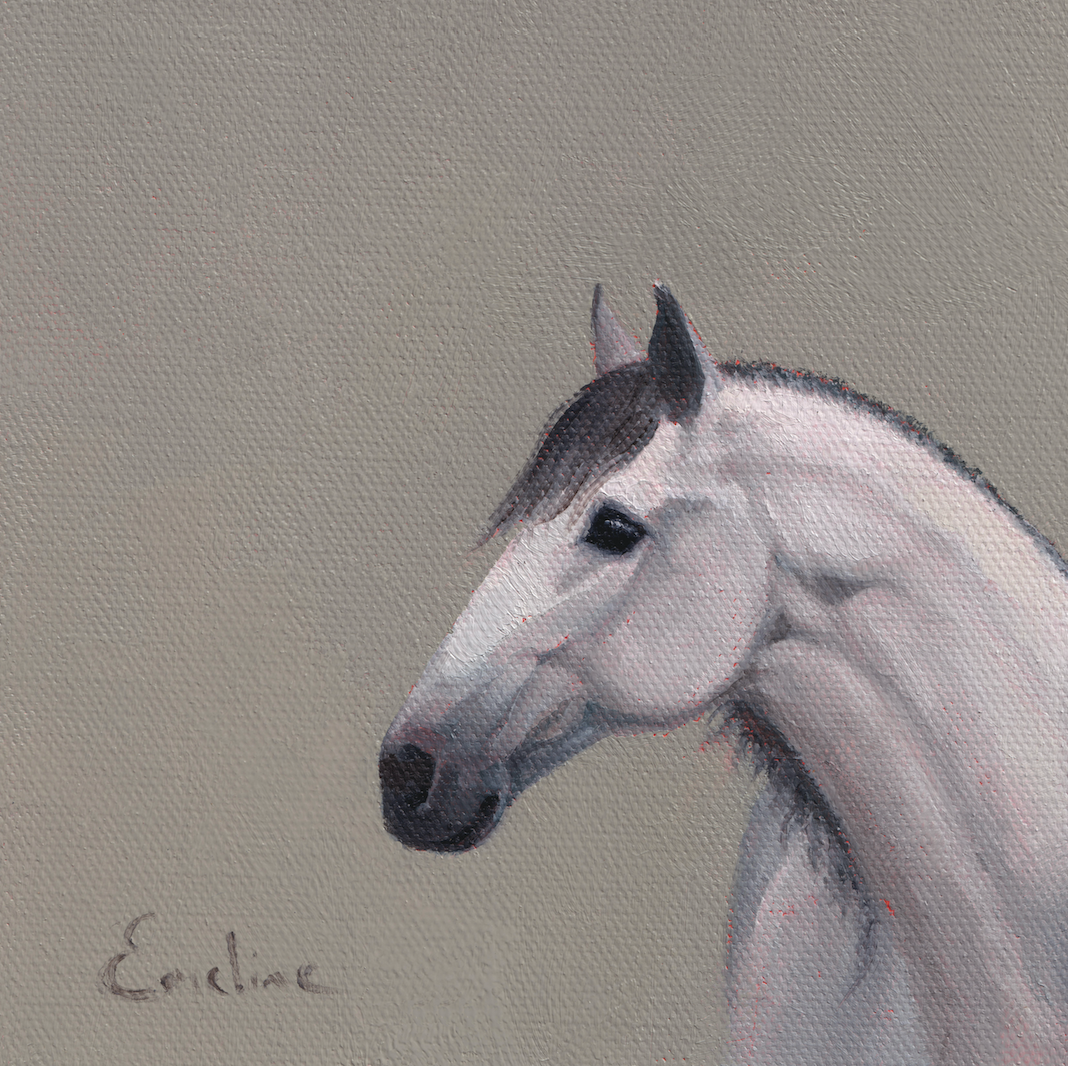 Pack of 4 Horse Cards