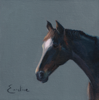 Pack of 4 Horse Cards