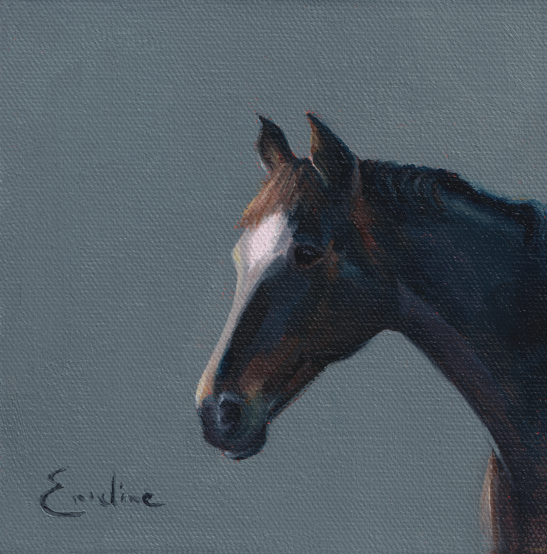 Pack of 4 Horse Cards