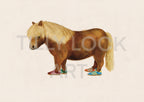 PONY IN TRAINERS