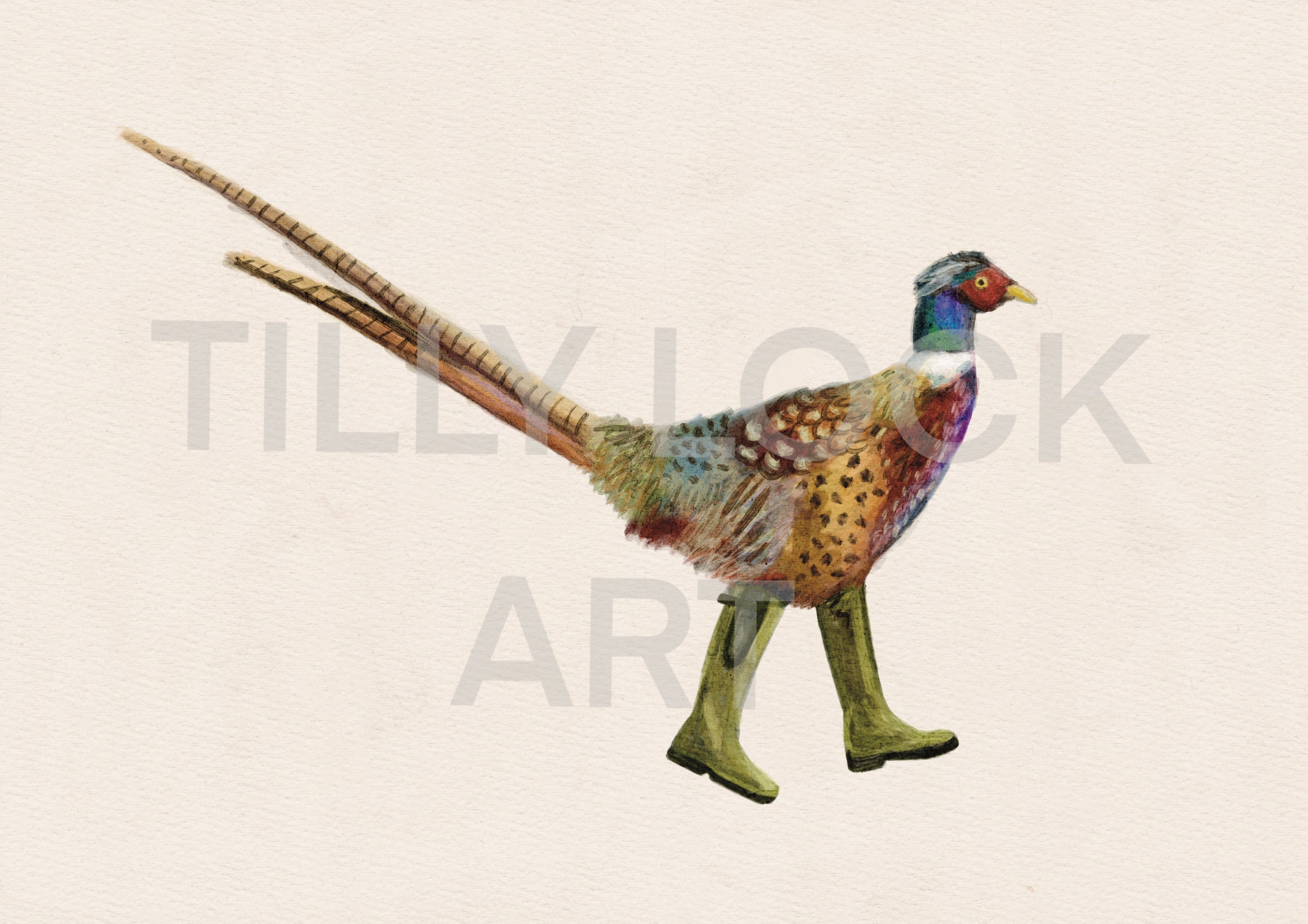 PHEASANT IN WELLIES