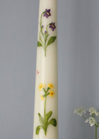 Birth flower February - primrose & violets