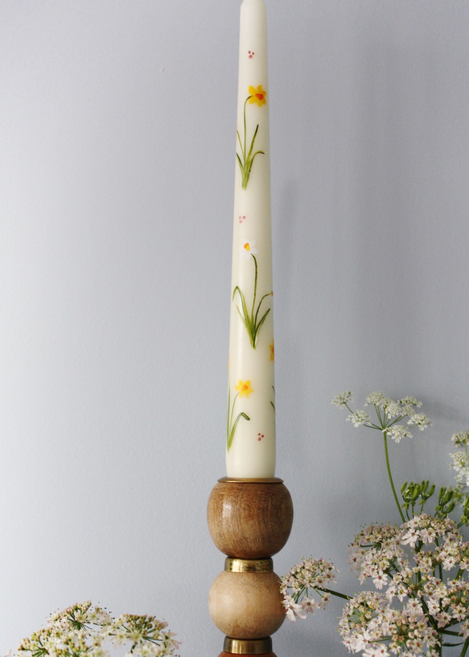 Birth flower March - Daffodils