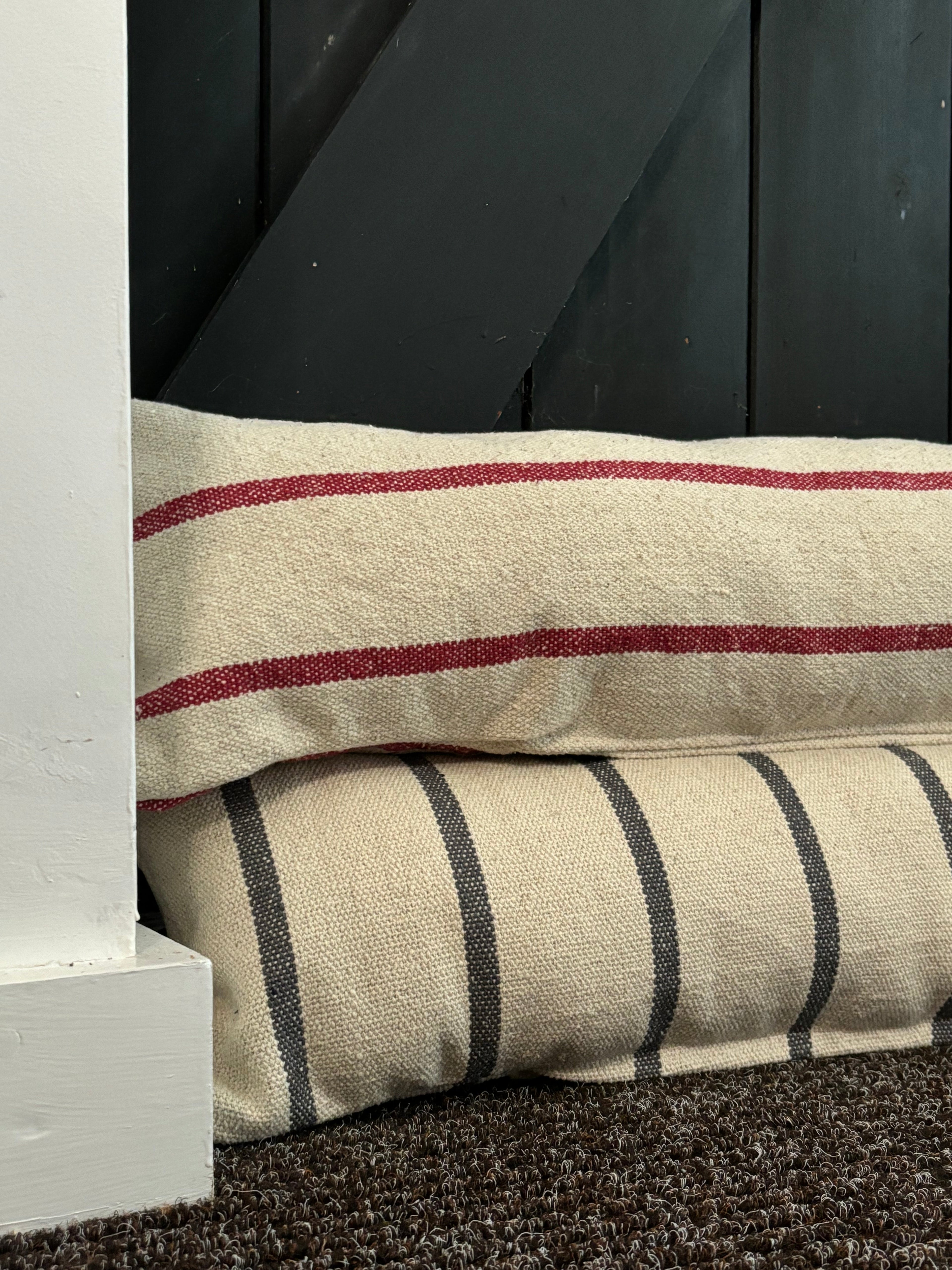 DARCY - Draught Excluder