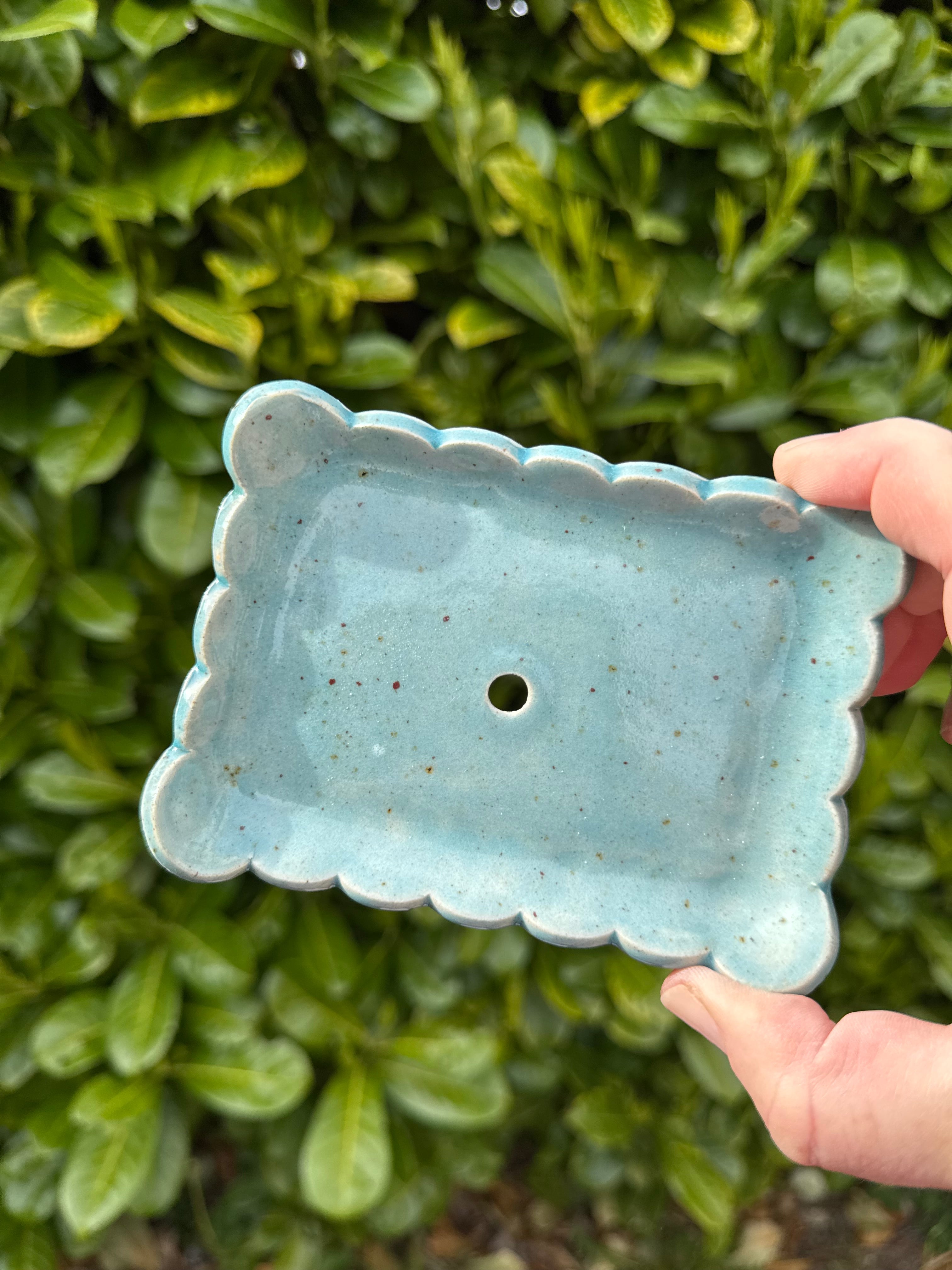 Rectangular scalloped edged soap dish with drainage hole