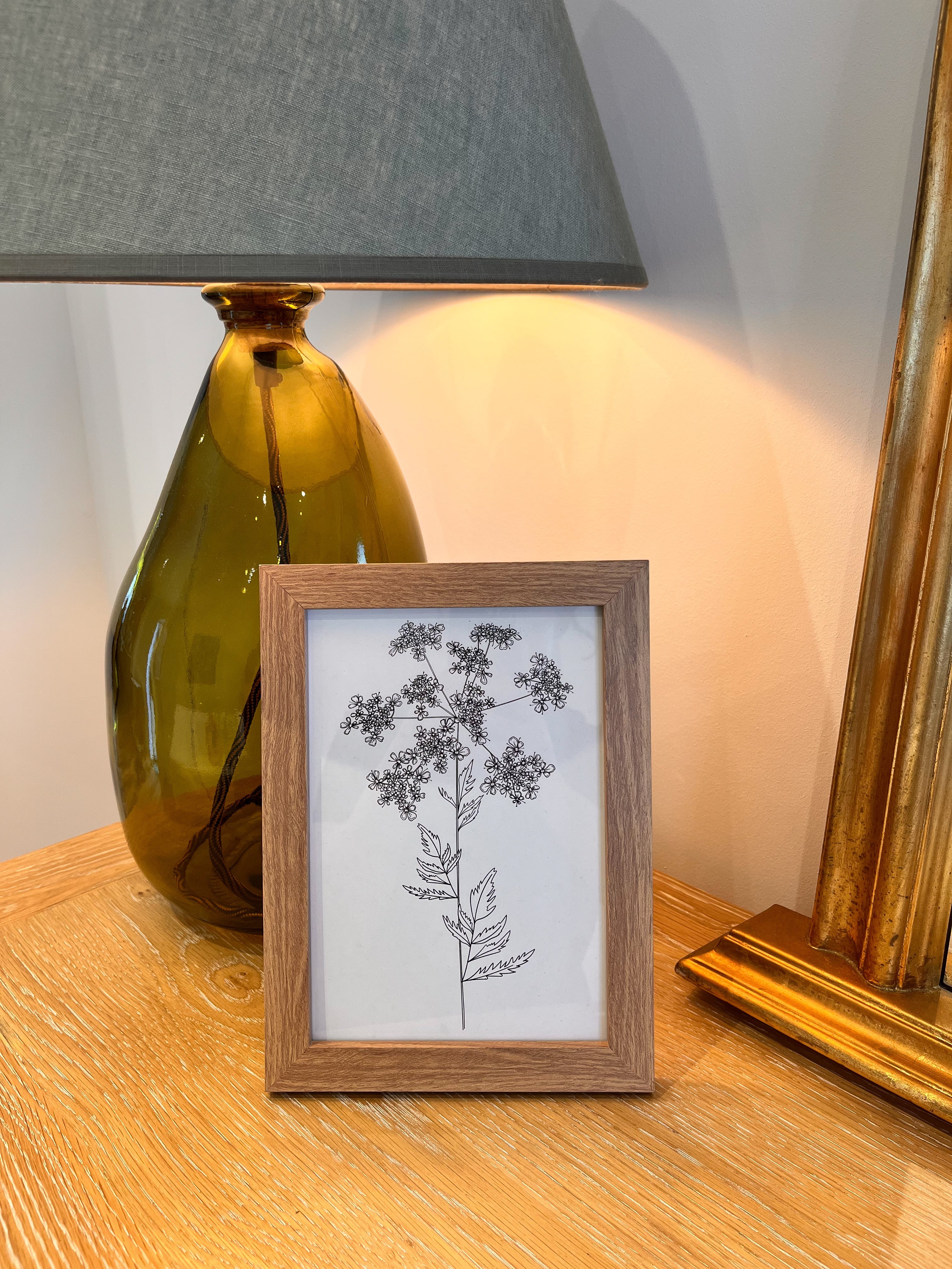 Cow Parsley Cluster and Stem - A5 Print