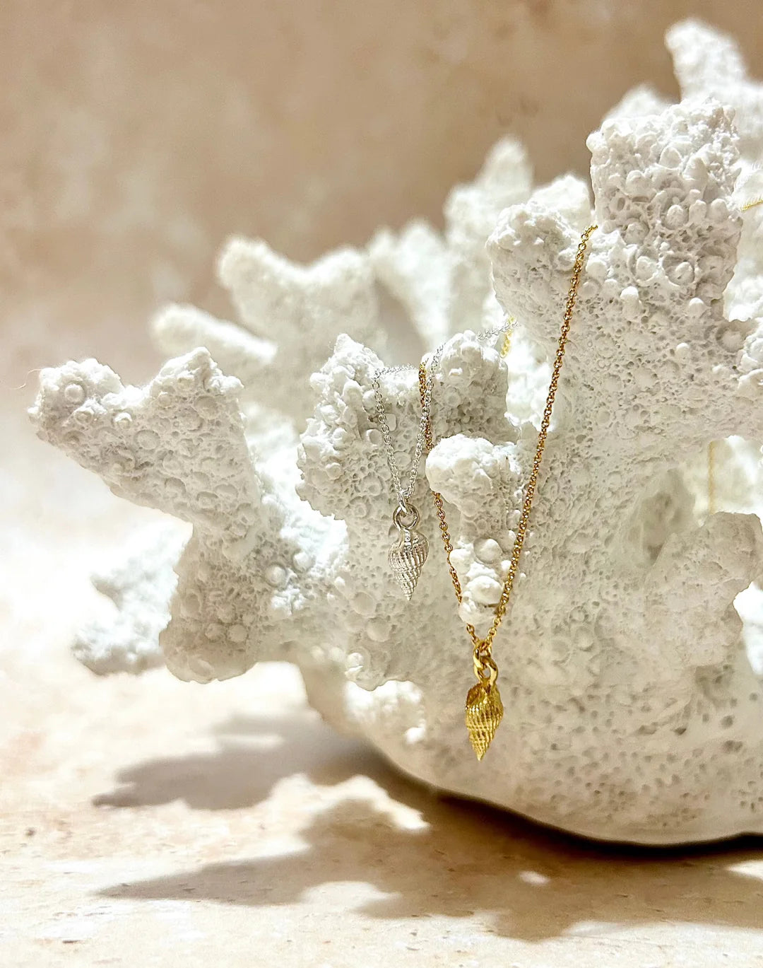 nassa-shell-necklace