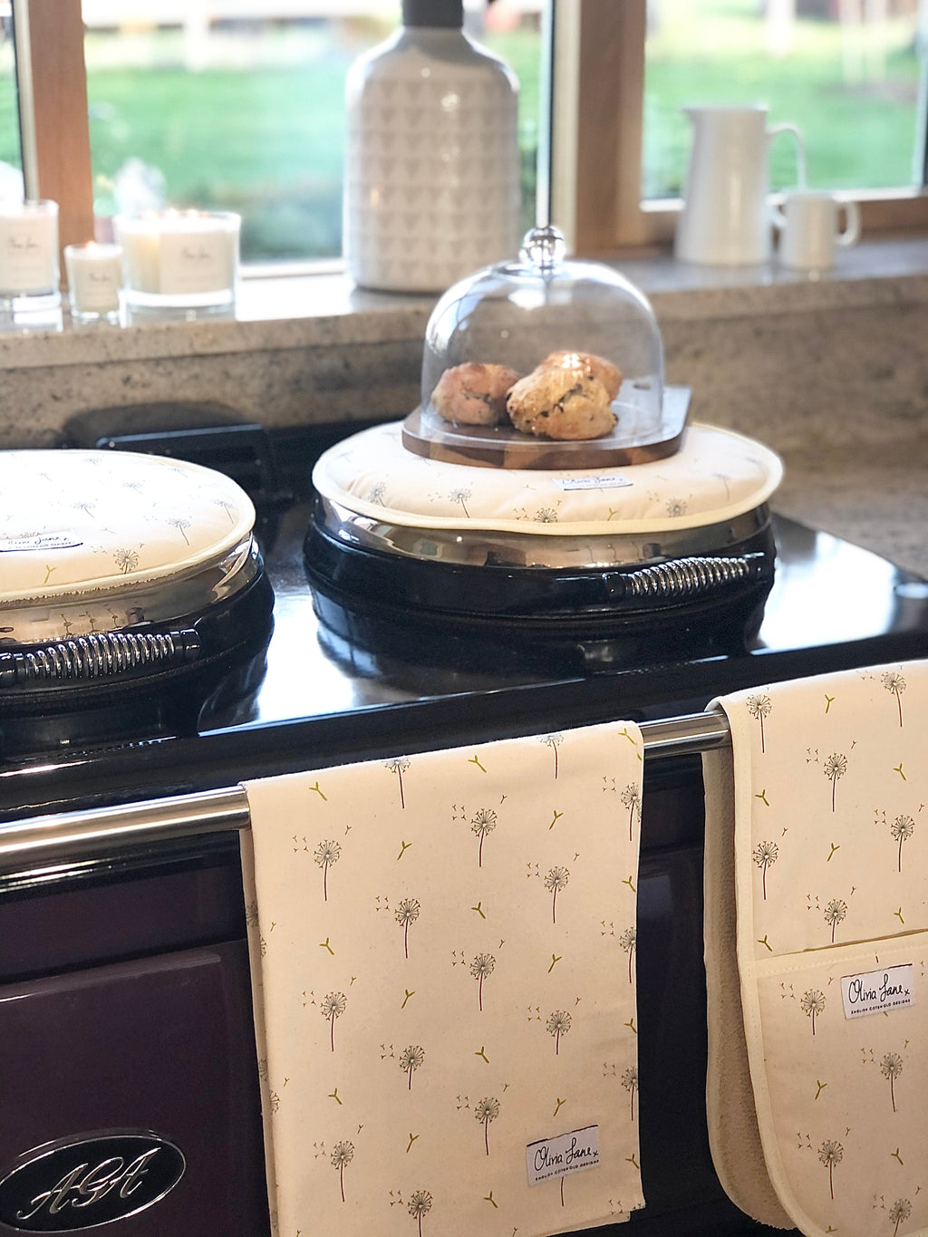 AGA Cover - 'Dandelion Wishes'