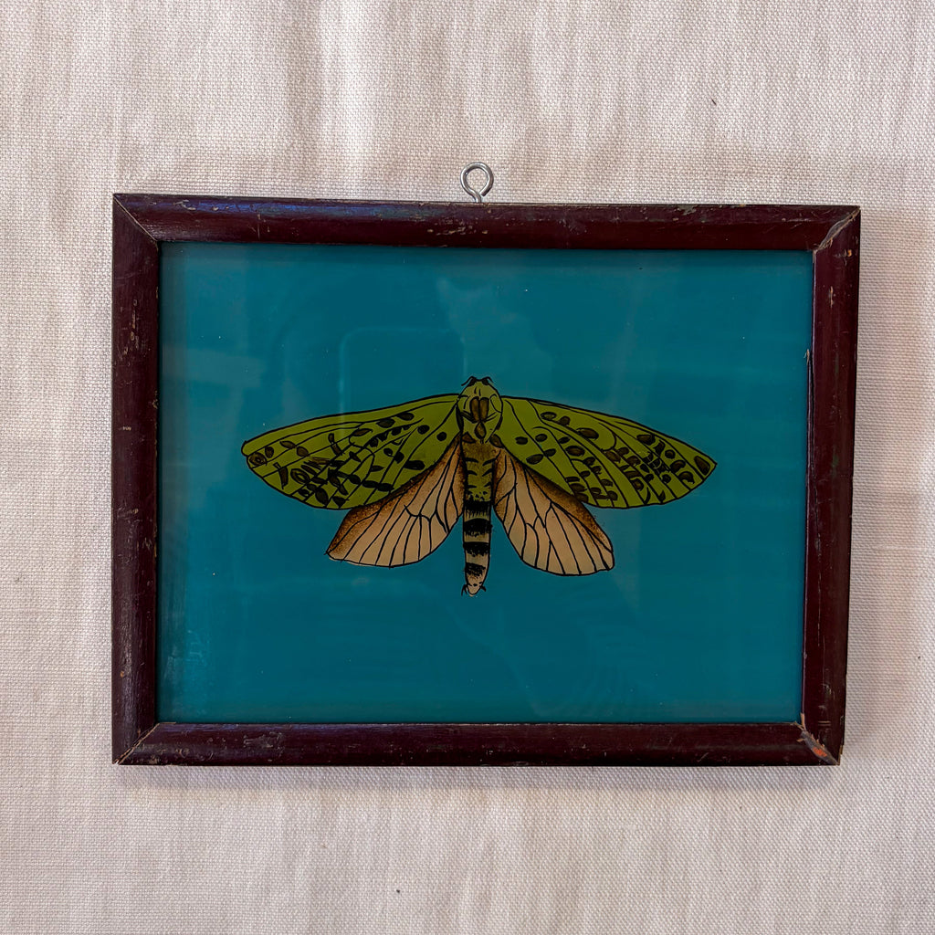 MOTH BLUE BACKGROUND Indian glass painting