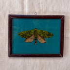 MOTH BLUE BACKGROUND Indian glass painting