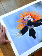 Flying Ointment Giclée Print - Limited Edition