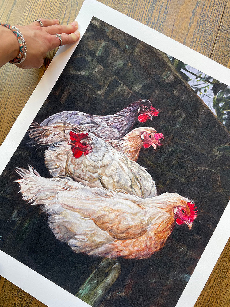 Roosting Chickens Giclée Print - Limited Edition