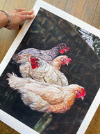 Roosting Chickens Giclée Print - Limited Edition