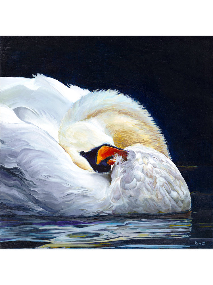 Oxford Swan Giclée Print - Limited Edition