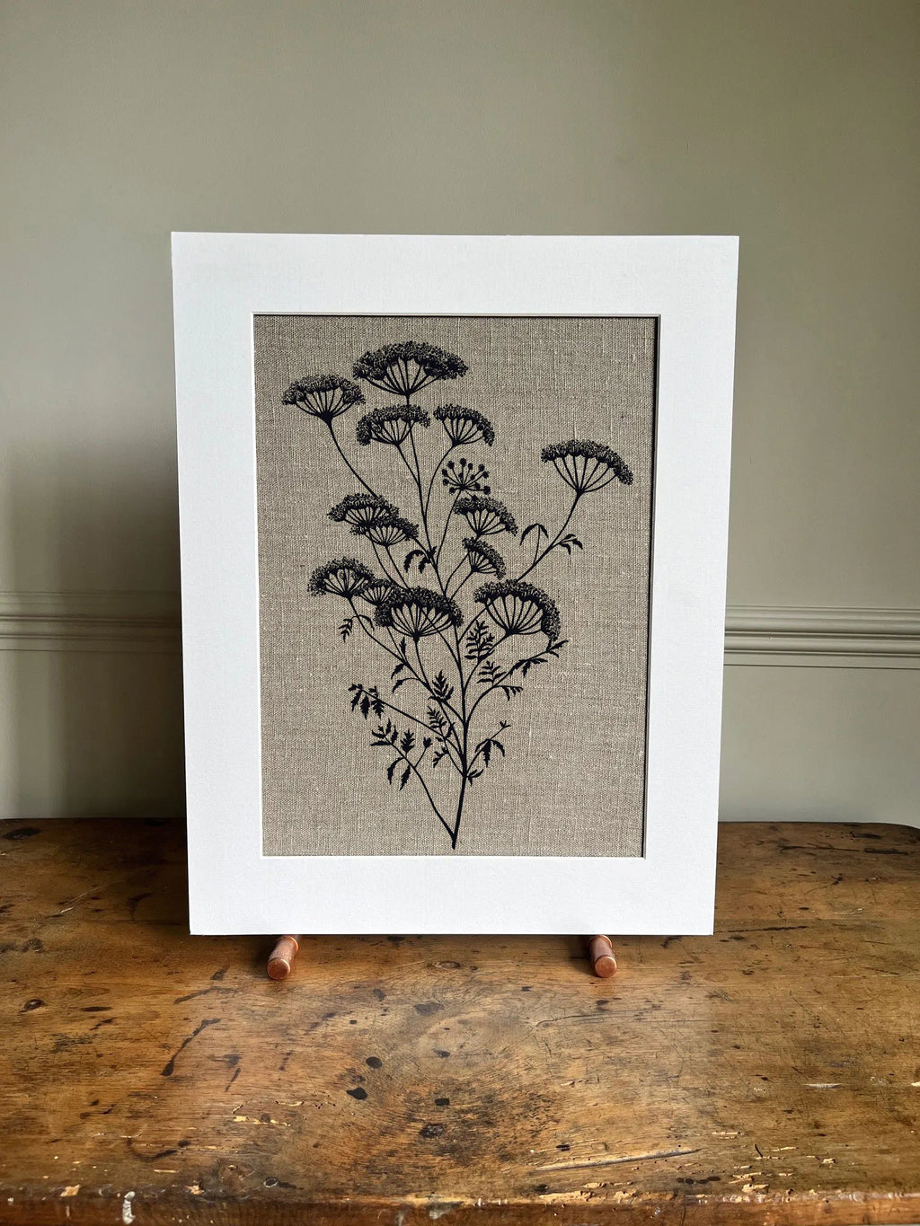 ANTHRISCUS SYLVESTRIS BOTANICAL STUDY A