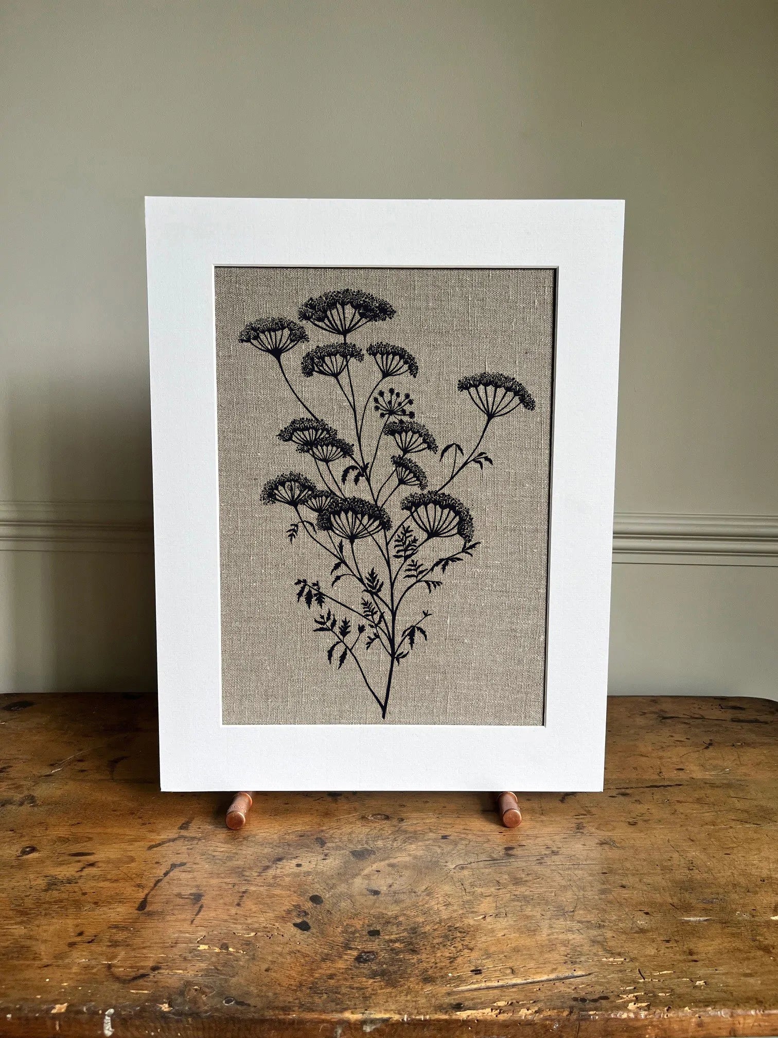 ANTHRISCUS SYLVESTRIS BOTANICAL STUDY A