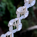 Kathmandu Honeycomb Paper Garland - Fair Trade