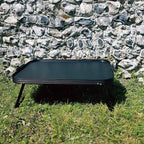 Lap Tray
